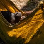 Waarom zou je foto’s maken?